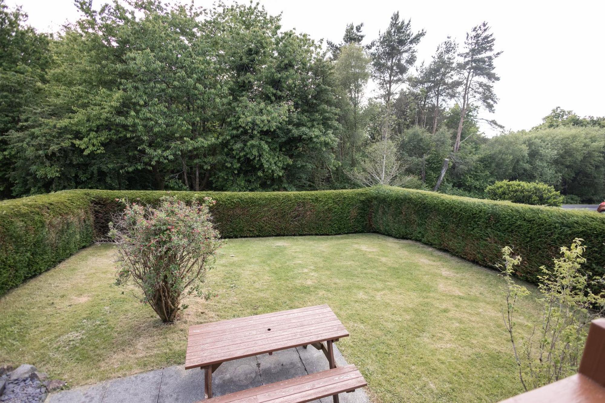 Thistledonia Trawsfynydd Bagian luar foto