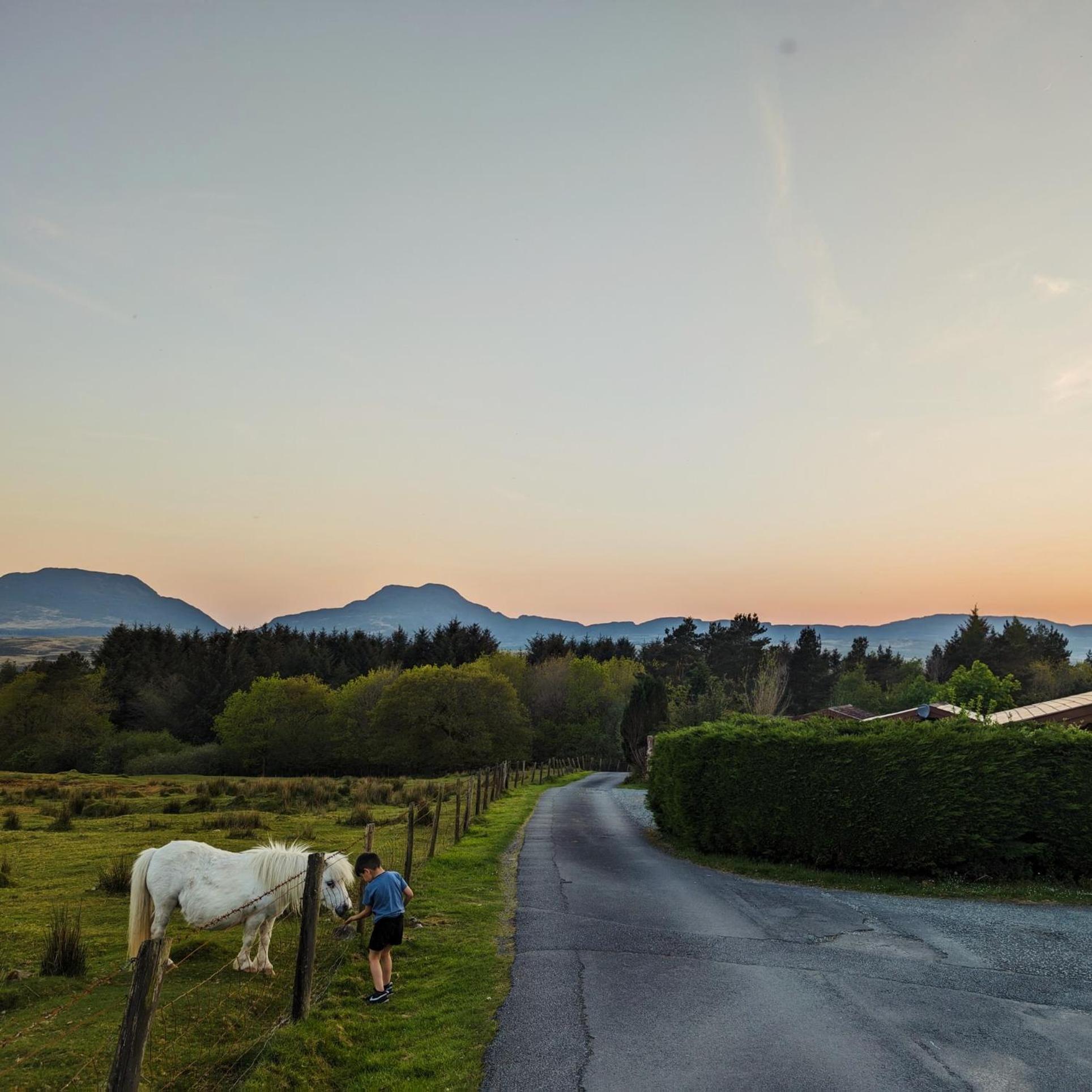 Thistledonia Trawsfynydd Bagian luar foto